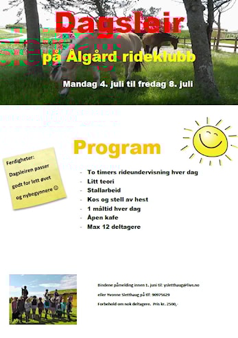 Dagsleir 4-8 juli